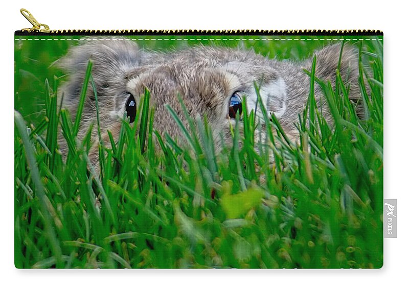 Rabbits Zip Pouch featuring the photograph Peek A Boo I See You by Ernest Echols