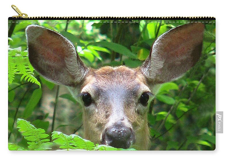 Wildlife Carry-all Pouch featuring the photograph Peek-A-Boo by Rory Siegel