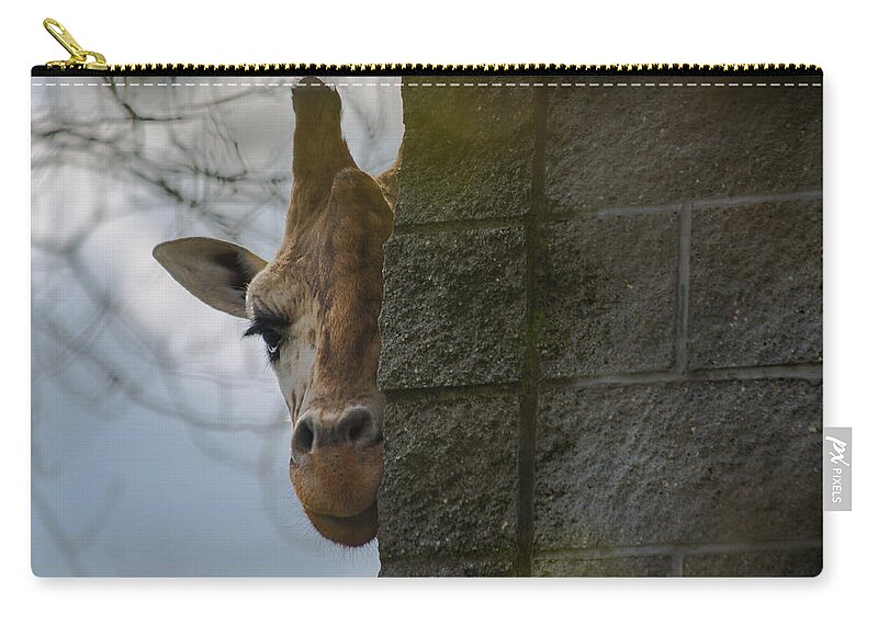 Silhouette Zip Pouch featuring the photograph Peekaboo giraffe by Eti Reid