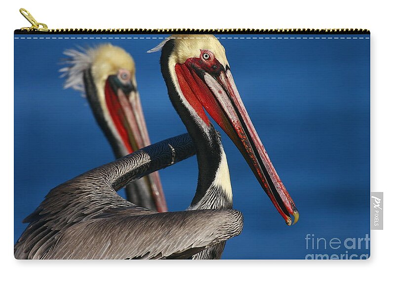 Landscapes Carry-all Pouch featuring the photograph La Jolla Pelicans In Waves by John F Tsumas