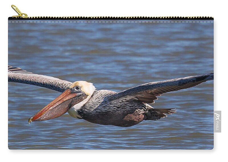 Pelican Zip Pouch featuring the photograph Pelican in Flight by Patricia Schaefer