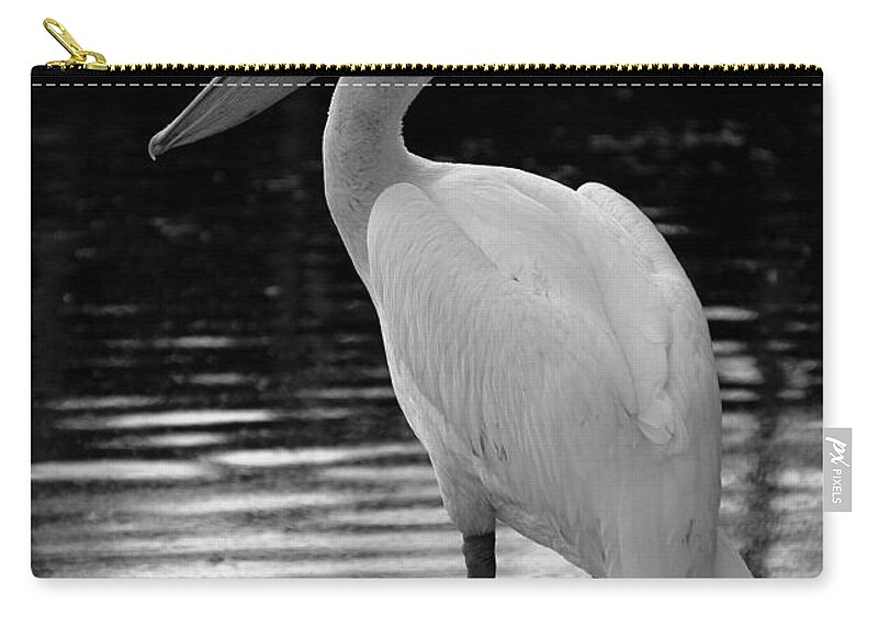 White Pelicans Zip Pouch featuring the photograph Pelican in the Dark by Laurie Perry