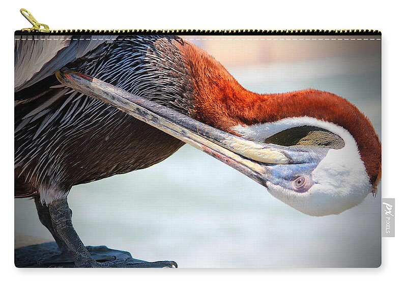 Pelican Zip Pouch featuring the photograph Pelican Itch by Cynthia Guinn