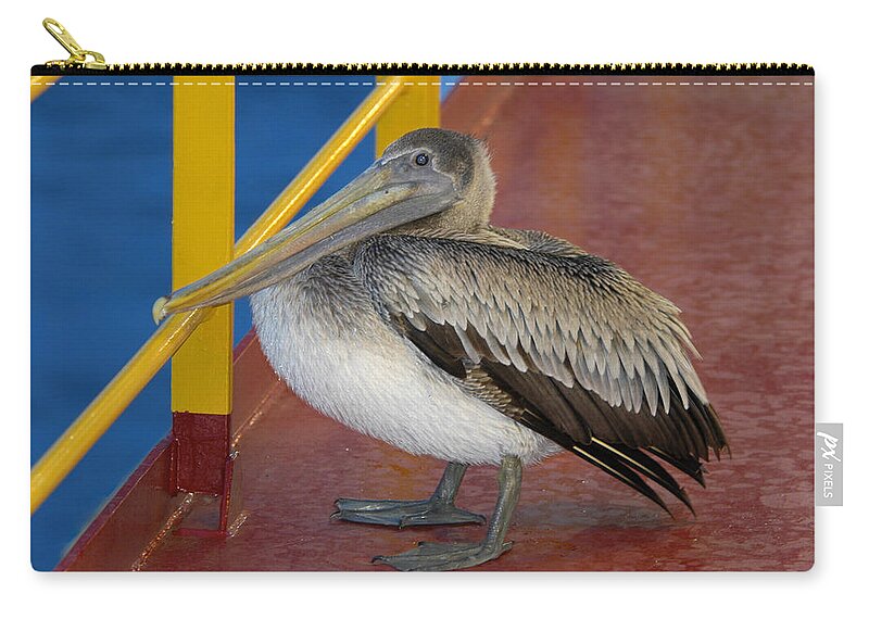 Pelican Zip Pouch featuring the Pelican on a ship deck by Bradford Martin