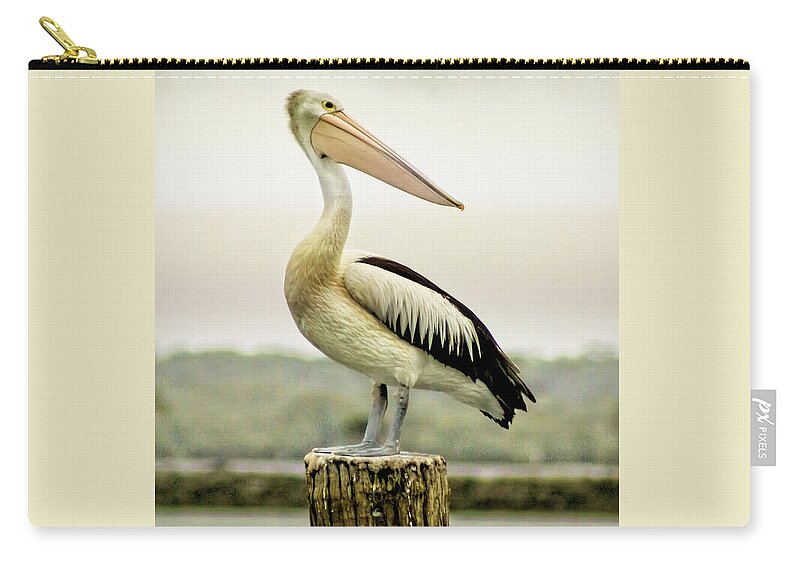 Animlas Zip Pouch featuring the photograph Pelican Poise by Holly Kempe