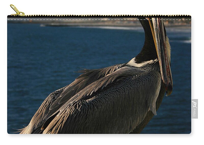 Pelican Zip Pouch featuring the photograph Pelican Portrait by Scott Cunningham