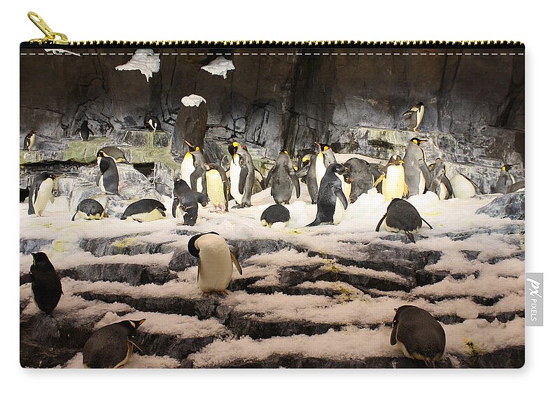 Seaworld Zip Pouch featuring the photograph Penguin Central by David Nicholls