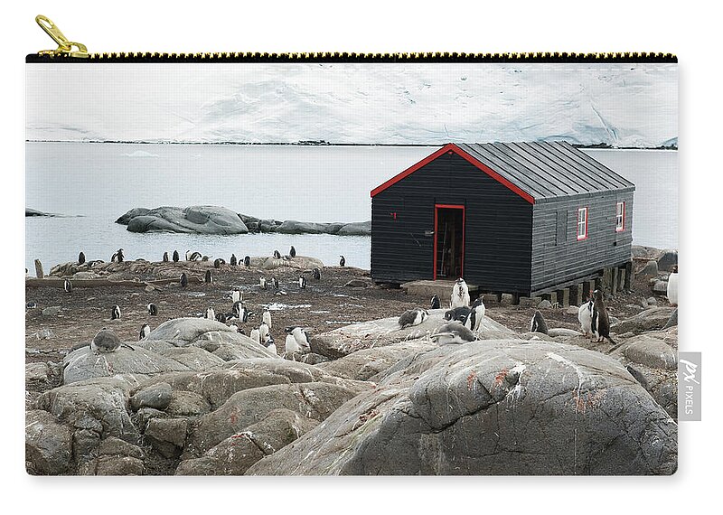 Iceberg Zip Pouch featuring the photograph Penguins Around A Black Building On The by Jim Julien / Design Pics