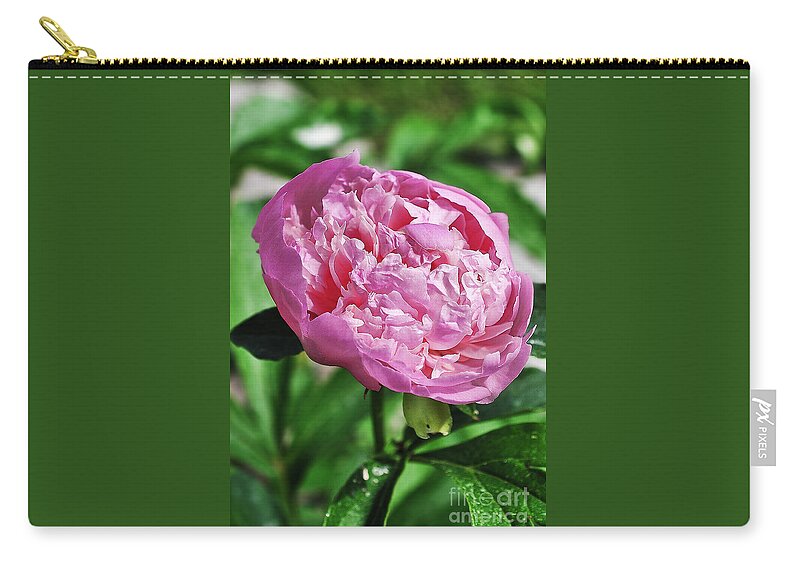 Peony Zip Pouch featuring the photograph Peony by Gwen Gibson