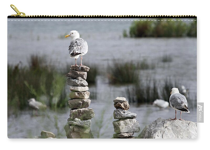 Seagull Zip Pouch featuring the photograph Perched on a Rock Cairn by Jackson Pearson