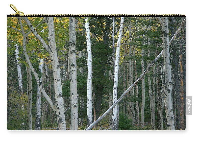 Gold Carry-all Pouch featuring the photograph Perfection In Nature by Frank Madia
