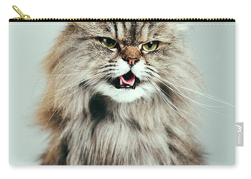 Purebred Cat Zip Pouch featuring the photograph Persian Cat Portrait by Sensorspot