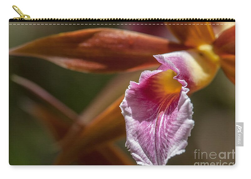 Al Andersen Zip Pouch featuring the photograph Phaius Tankervilleae Orchid by Al Andersen