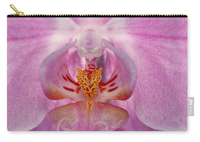 Angiosperm Zip Pouch featuring the photograph Phalaenopsis Orchid by Perennou Nuridsany