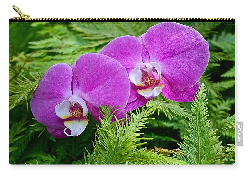Phalaenopsis Zip Pouch featuring the photograph Phalaenopsis Moth Orchids by Venetia Featherstone-Witty