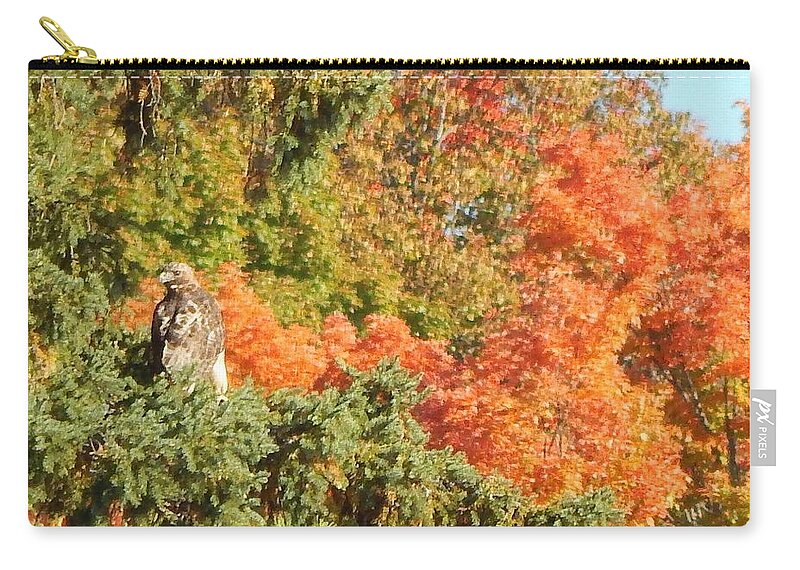 Eagle Zip Pouch featuring the photograph Piercing by Kimberly Woyak