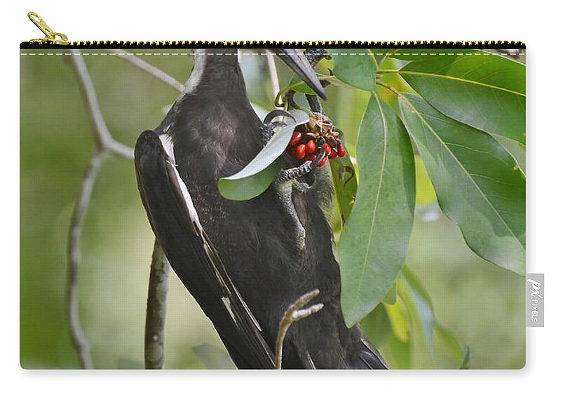 Woodpecker Carry-all Pouch featuring the photograph Pileated Woodpecker by Kathy Baccari