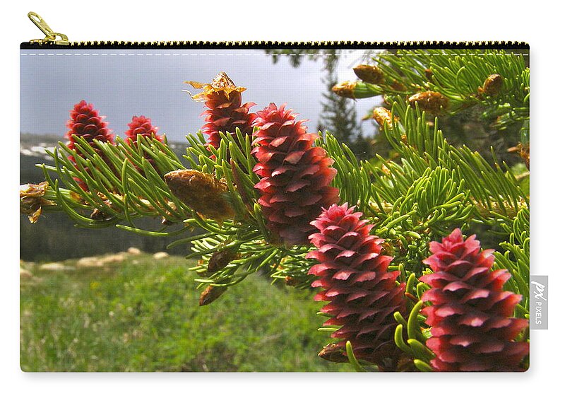 Colorado Zip Pouch featuring the painting Pine Forest Sense by Alan Johnson