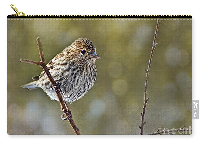 Bird Zip Pouch featuring the photograph Pine Siskin by Debbie Portwood