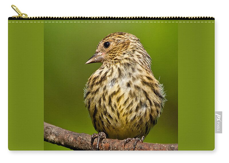 Animal Carry-all Pouch featuring the photograph Pine Siskin With Yellow Coloration by Jeff Goulden