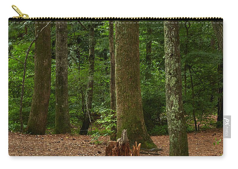 Landscapes Zip Pouch featuring the photograph Pine Stump by Matthew Pace