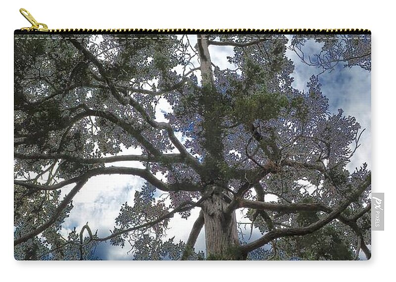 Tree Zip Pouch featuring the photograph Pining Away by Deena Stoddard