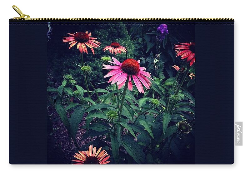 Coneflower Zip Pouch featuring the photograph Pink And Orange by Frank J Casella