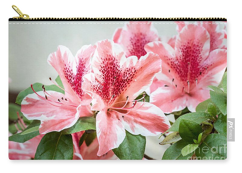 Flowers Zip Pouch featuring the photograph Pink Azaleas by Todd Blanchard