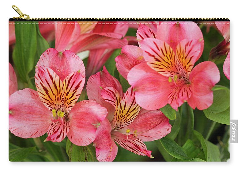 Alstroemeria Zip Pouch featuring the photograph Pink Beauty by E Faithe Lester
