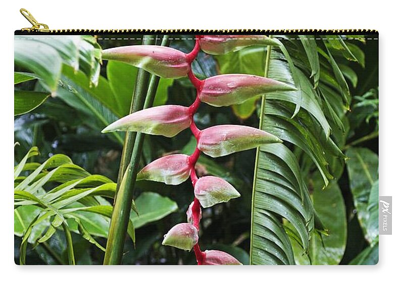 Flower Zip Pouch featuring the photograph Pink Beauty by Laura Forde