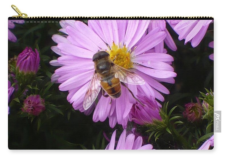 Pink Zip Pouch featuring the photograph Pink Bee-auty b by Nicki Bennett