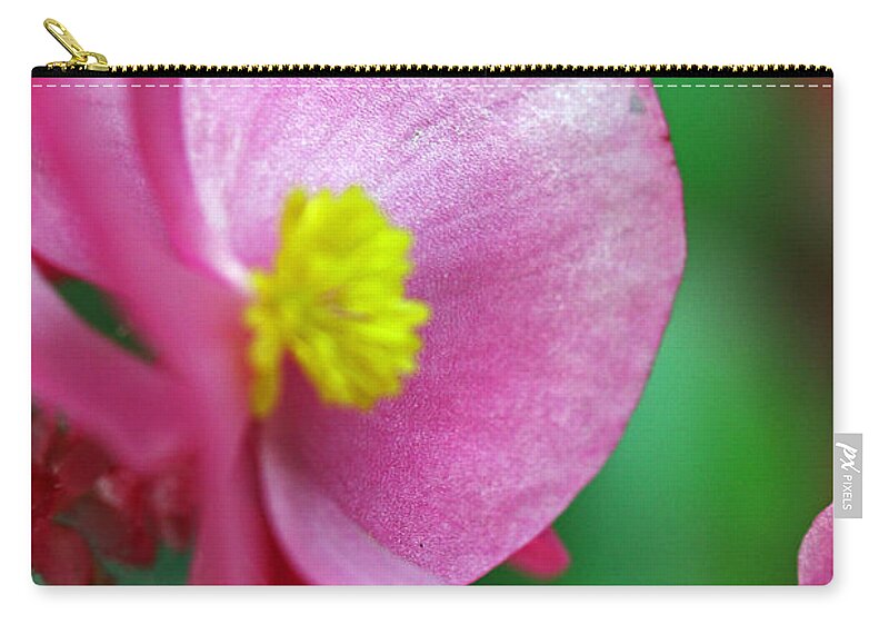 Flowers Zip Pouch featuring the photograph Pink Begonia by Jennifer Robin