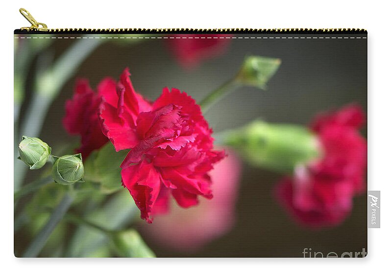 Pink Carnation Zip Pouch featuring the photograph Pink Carnation by Sharon Talson