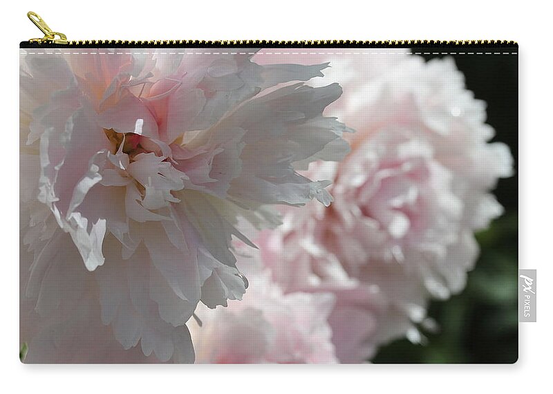 Peony Carry-all Pouch featuring the photograph Pink Confection by Ruth Kamenev
