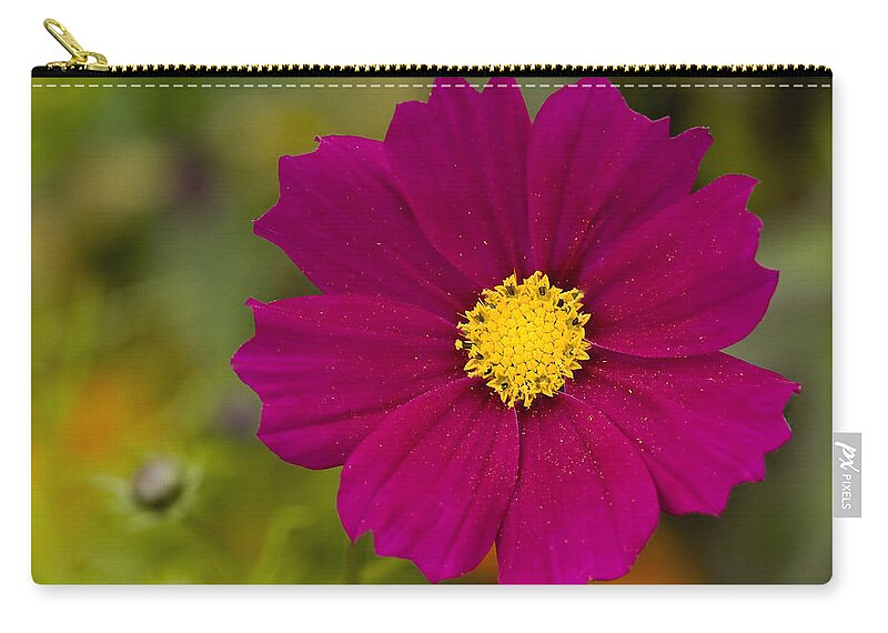 Pink Zip Pouch featuring the photograph Pink Cosmos 3 by Roger Snyder