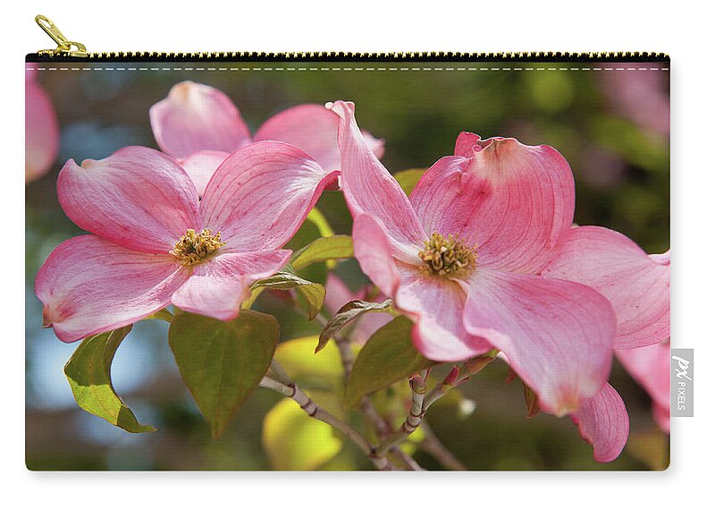 Dogwood Zip Pouch featuring the photograph Pink Dogwood Cornus Florida Rubra by Obxbchcmbr