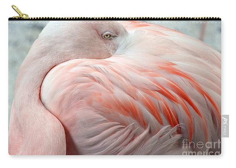 Pink Flamingo Ii Zip Pouch featuring the photograph Pink Flamingo II by Robert Meanor