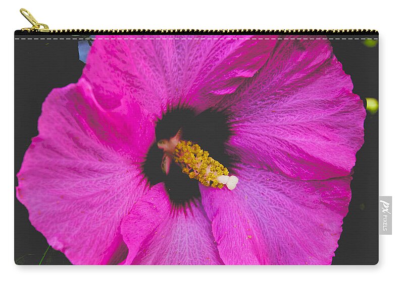 Pink Flower Zip Pouch featuring the photograph Pink Flower by William Norton