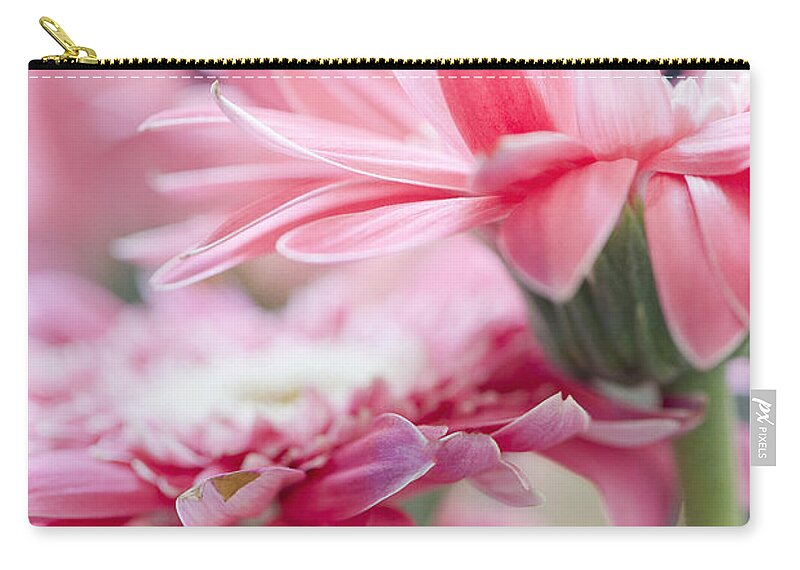 Photography Zip Pouch featuring the photograph Pink Gerber Daisy - Awakening by Ivy Ho