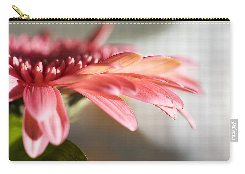 Pink Zip Pouch featuring the photograph Pink Gerber Daisy by Marilyn Hunt