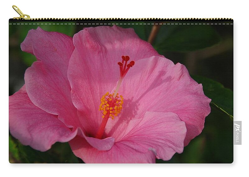 Flower Zip Pouch featuring the photograph Pink Hibiscus by Eric Tressler