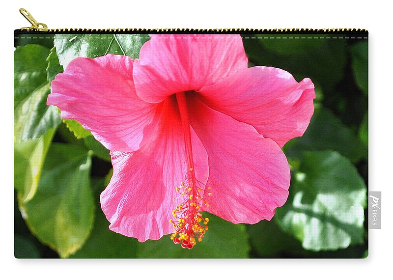 Flower Zip Pouch featuring the photograph Pink Hibiscus With Large Stamen by Jay Milo