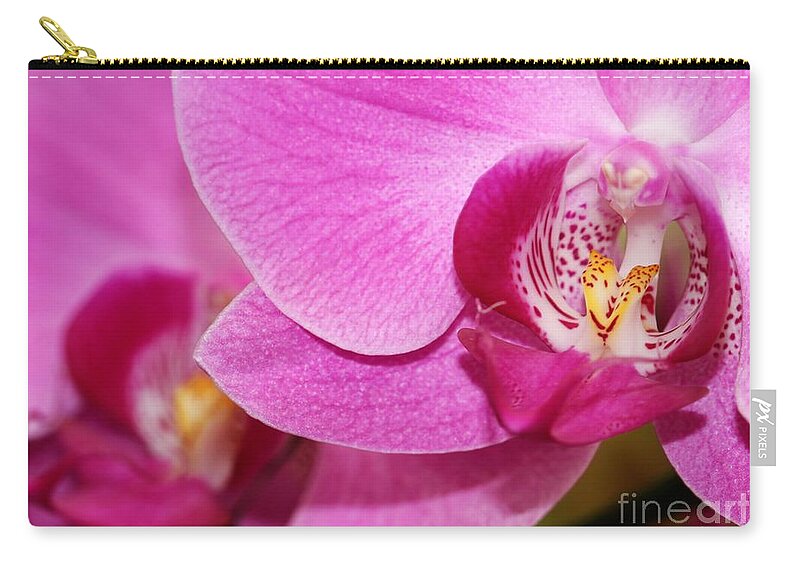 Orchid Zip Pouch featuring the photograph Pink Orchids by Sabrina L Ryan