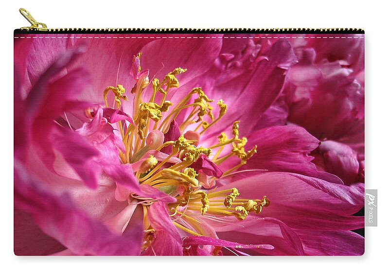 Peony Zip Pouch featuring the photograph Pink Peony Flower Macro by Jennie Marie Schell