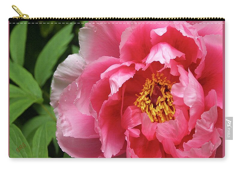 Pink Flower Zip Pouch featuring the photograph Pink Peony Portrait by Ben and Raisa Gertsberg