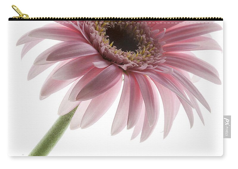 Pink Posey Carry-all Pouch featuring the photograph Pink Posey by Patty Colabuono