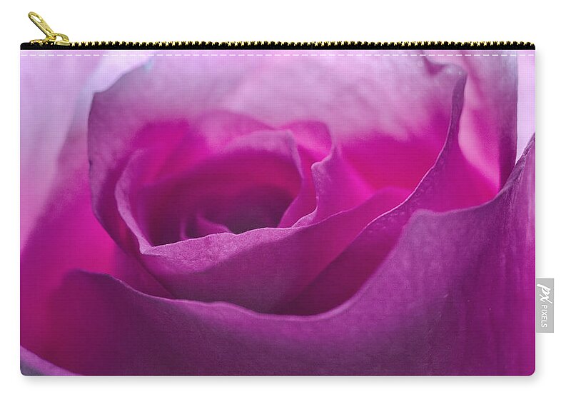 Flower Zip Pouch featuring the photograph Pink Rose by Jim Shackett