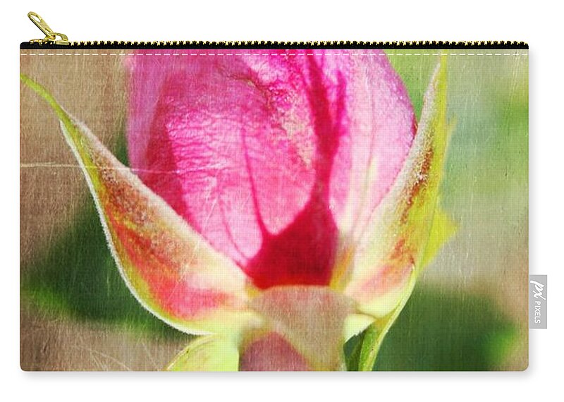 Rose Zip Pouch featuring the photograph Pink Rose by Judy Palkimas