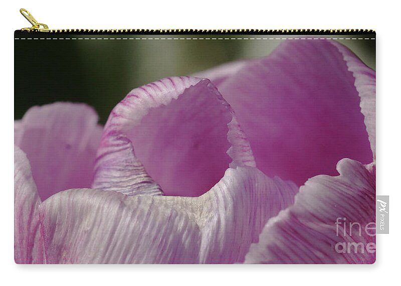 Nature Zip Pouch featuring the photograph Pink Tulip Calyx 7 by Rudi Prott