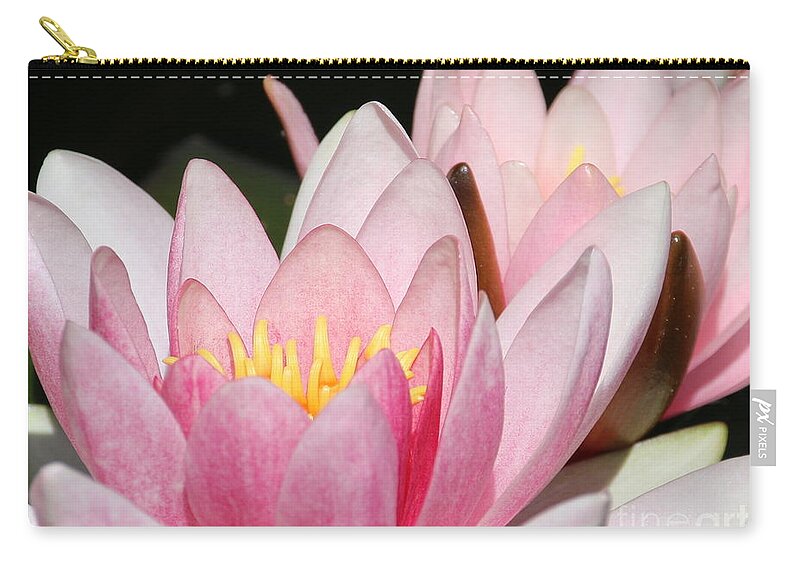 Lilies Carry-all Pouch featuring the photograph Pink Water Lily by Amanda Mohler